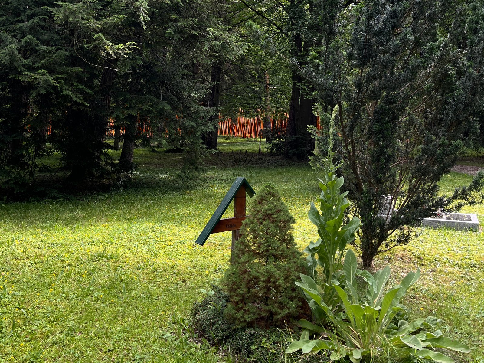 m8architekten_installation_baender_orange_hungerkost_euthanasie_zwangssterilisation
